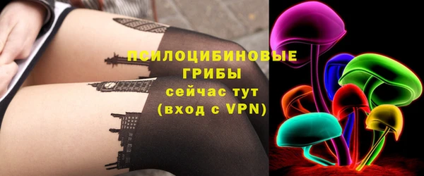 тгк Медвежьегорск
