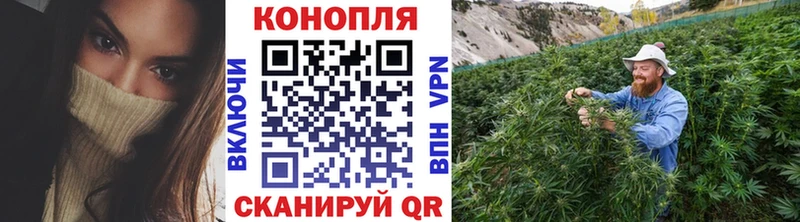 Конопля гибрид  KRAKEN онион  Пугачёв 